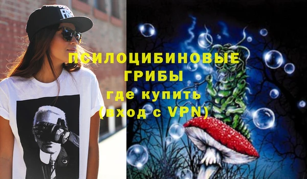 мдма Инта